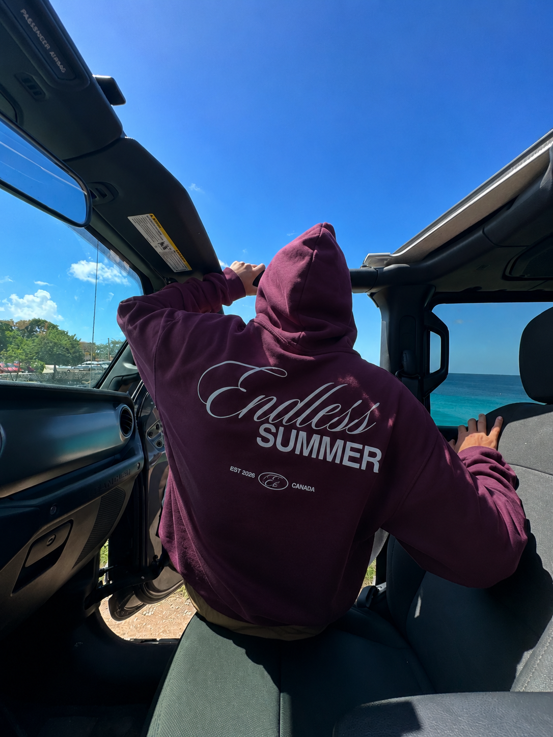 ENDLESS SUMMER HOODIE